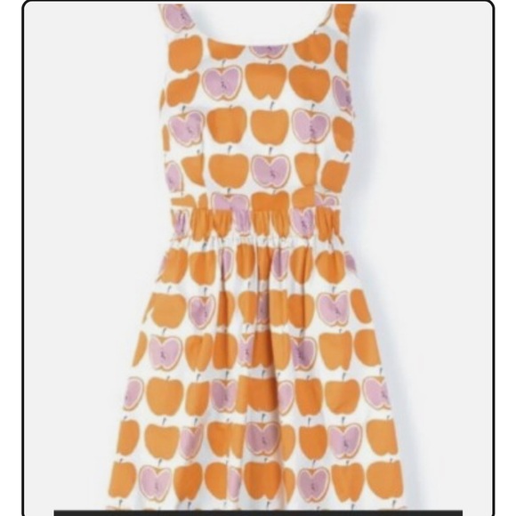 Boden Size 6R Pink Orange Apple Print Beatrice Pockets Fit & Flare Dress WH769 - Picture 1 of 6